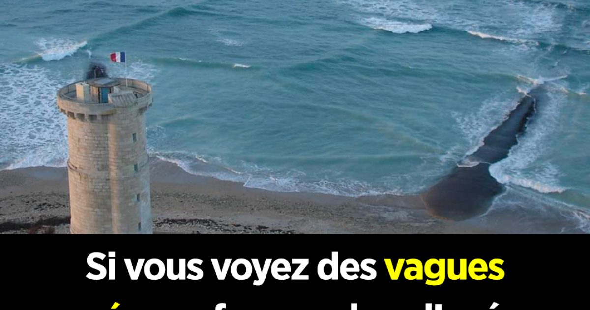 Voici ce qu’il faut faire si vous voyez des vagues carrées se former dans l’océan
