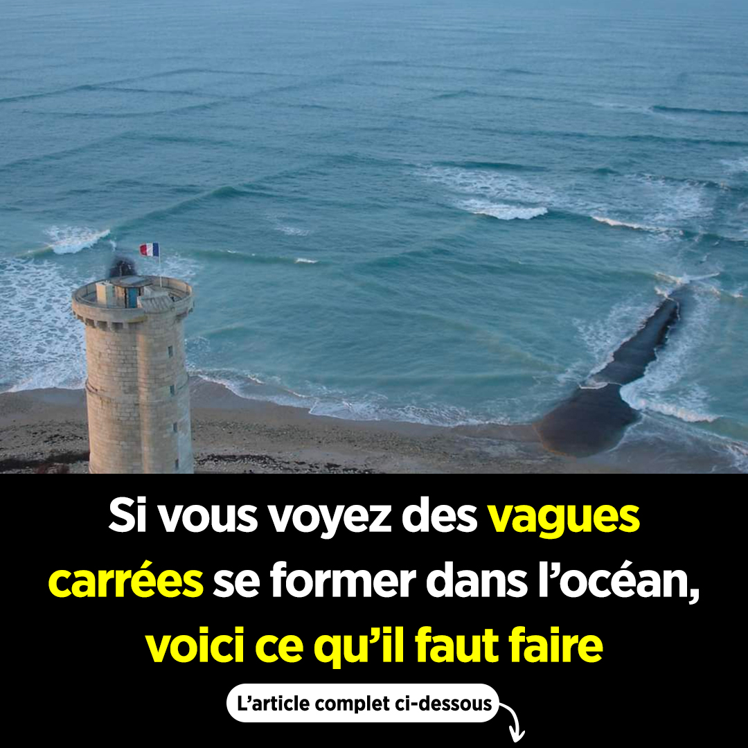 Voici ce qu’il faut faire si vous voyez des vagues carrées se former dans l’océan