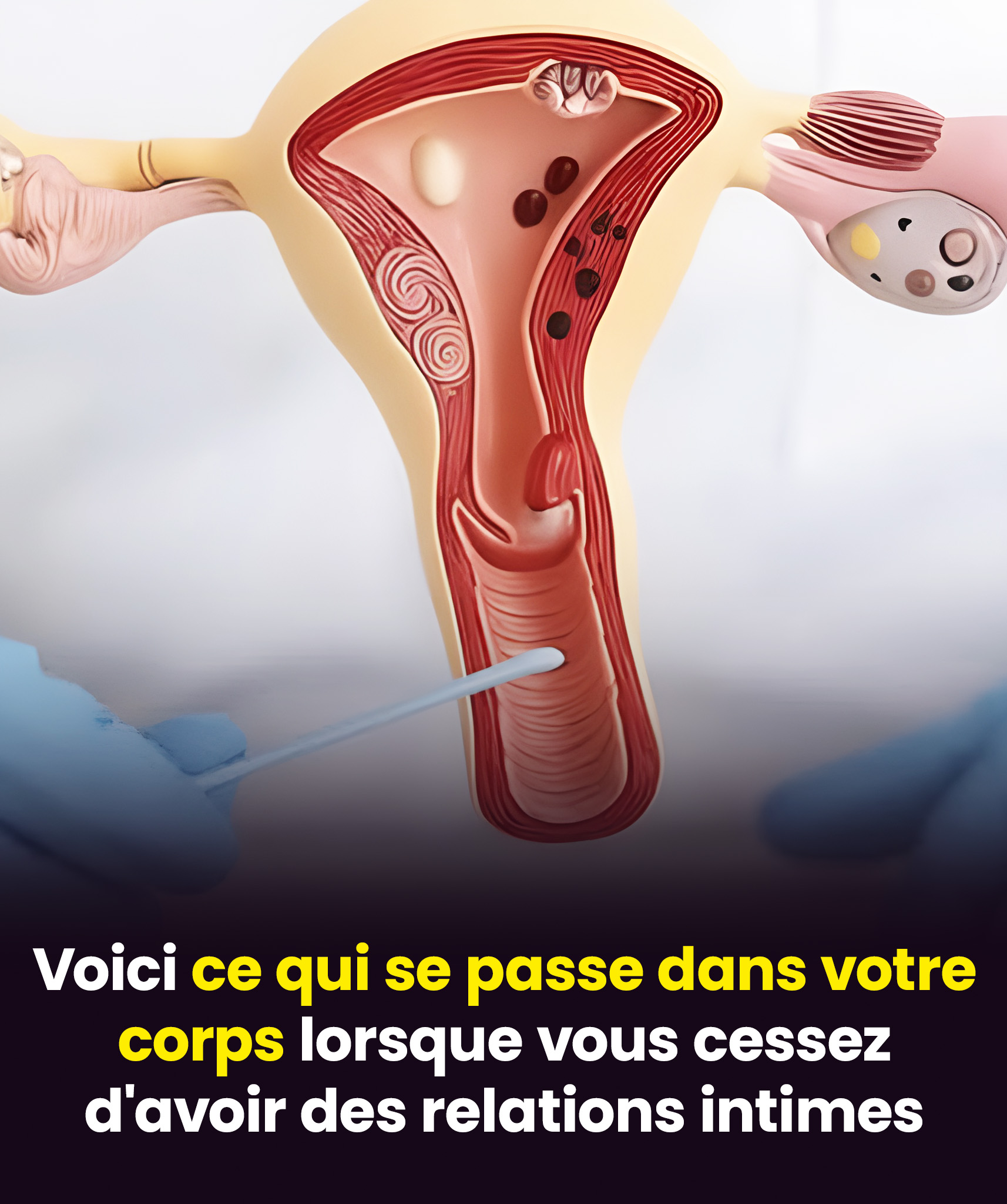 Voilà ce qui arrive à votre corps lorsque vous n’avez pas de relations