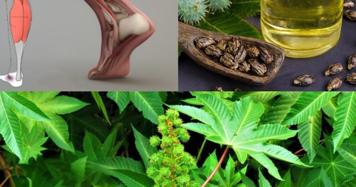 Voir cette plante dans votre jardin, c’est comme découvrir un trésor