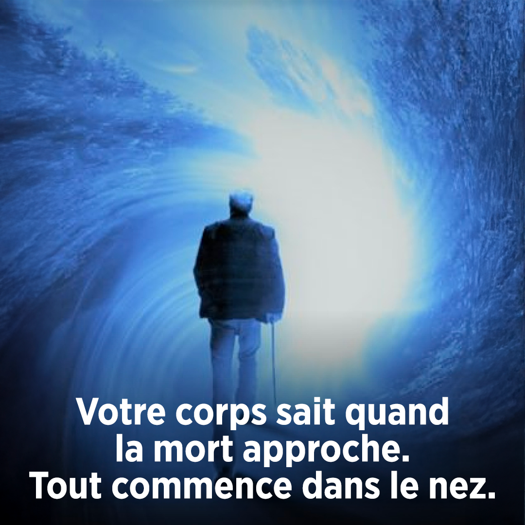 Votre corps sait quand la mort approche. Tout commence dans le nez