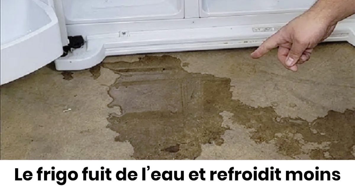 Votre réfrigérateur fuit de l’eau ? Voici comment le réparer