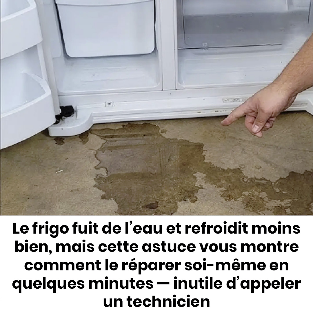 Votre réfrigérateur fuit de l’eau ? Voici comment le réparer