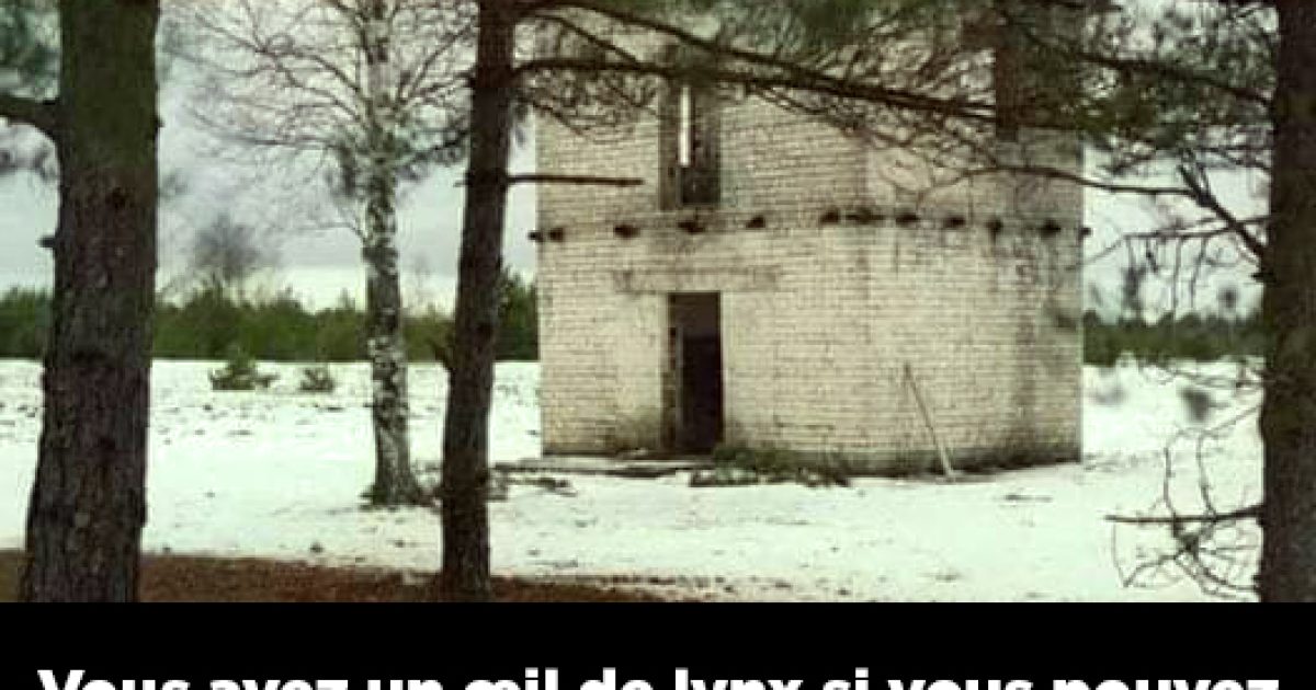 Vous avez l’œil de lynx si vous pouvez repérer un tireur d’élite sur cette photo