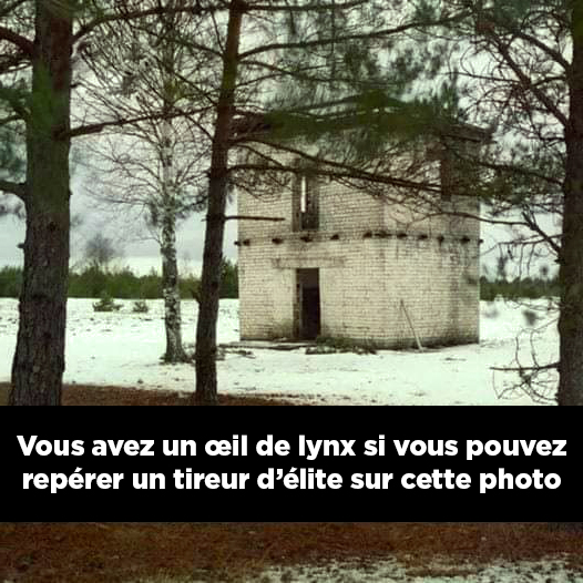 Vous avez l’œil de lynx si vous pouvez repérer un tireur d’élite sur cette photo