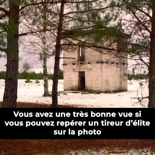 Vous avez une très bonne vue si vous pouvez repérer un tireur d'élite mortel sur une photo