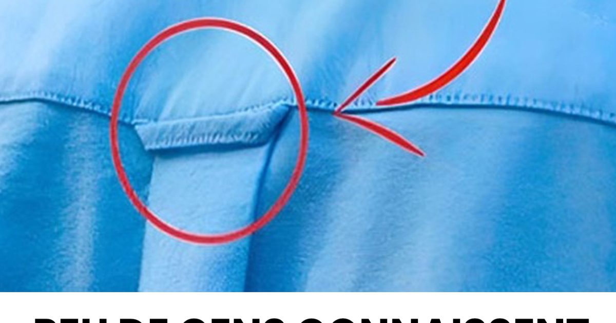 Vous êtes-vous déjà demandé à quoi sert la petite boucle au dos des chemises ?