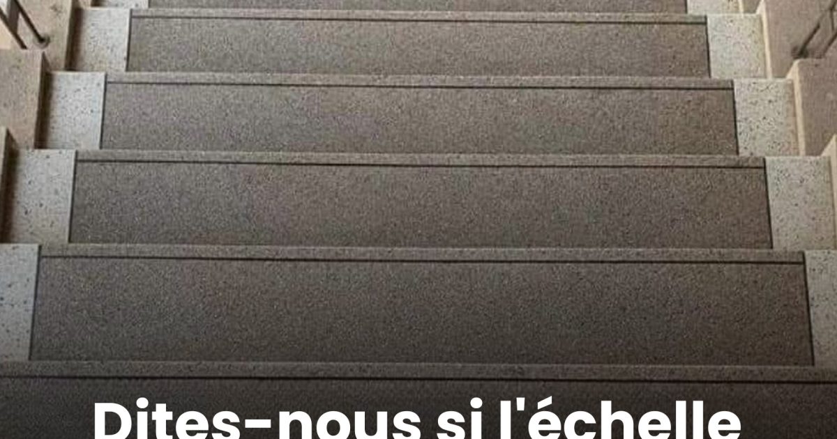 Vous montez ou vous descendez l’échelle ? Ce choix révèle votre véritable point d’ancrage dans la vie
