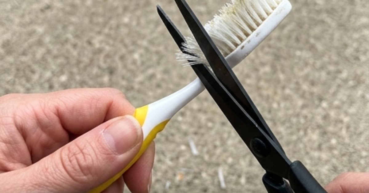 Vous ne jetterez plus jamais votre vieille brosse à dents une fois que vous aurez découvert cet incroyable secret fait maison