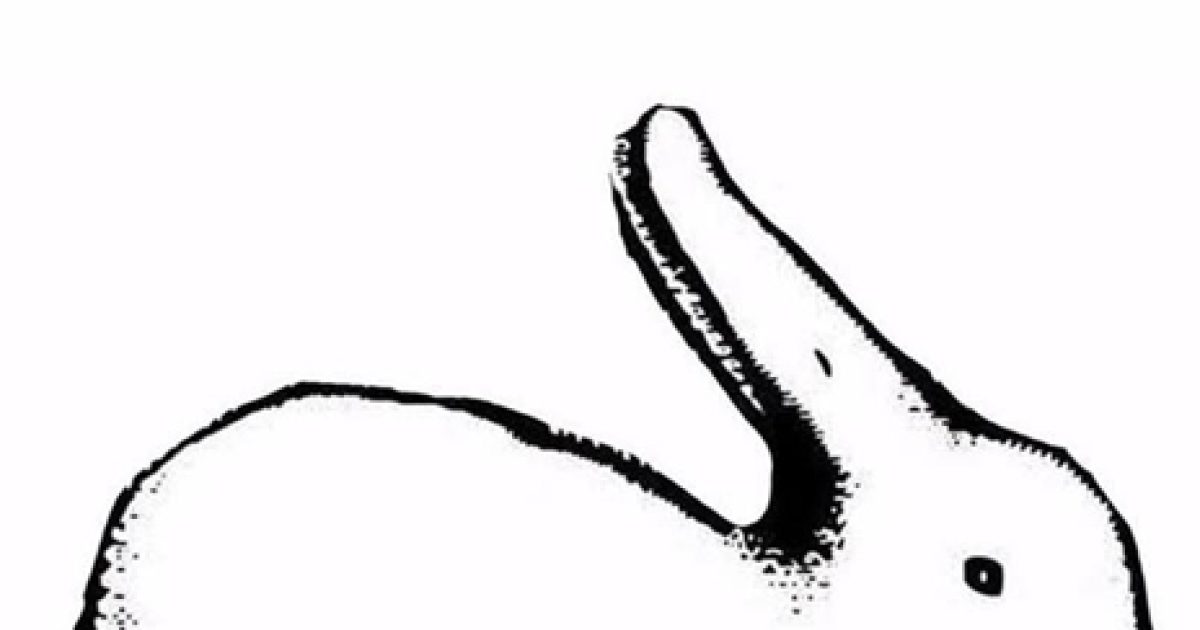 Voyez-vous un canard ou un lapin ? Ce que vous voyez en premier révélera des aspects cachés de votre âme