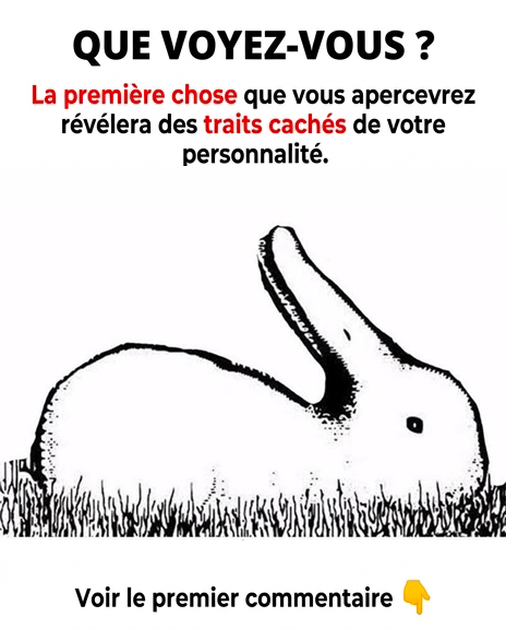 Voyez-vous un canard ou un lapin ? Ce que vous voyez en premier révélera des aspects cachés de votre âme
