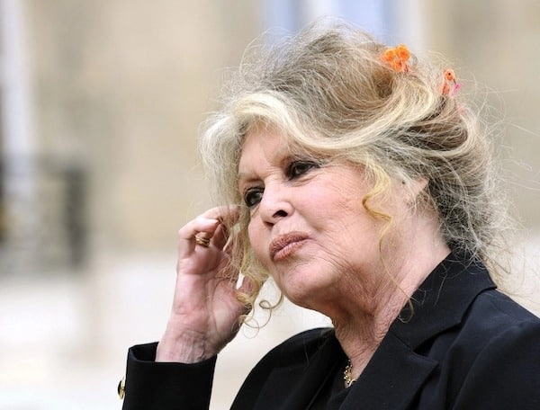 Elle n’a jamais eu recours à la chirurgie esthétique : cette photo de Brigitte Bardot, sans aucun filtre, va vous couper le souffle